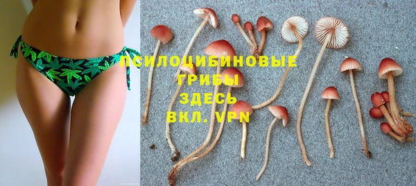 ECSTASY Володарск