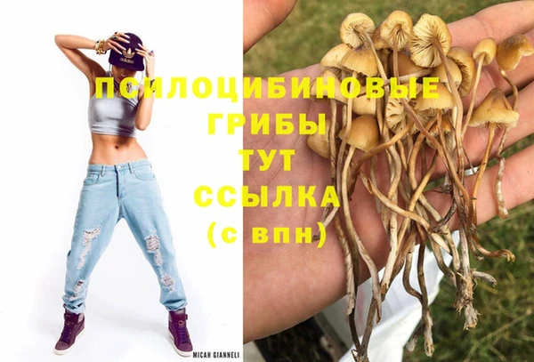 спайс Волосово