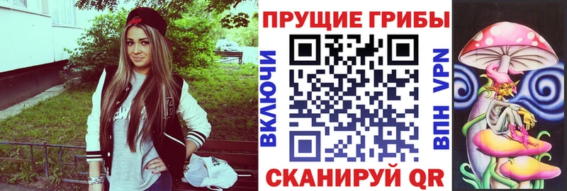 KRAKEN ССЫЛКА  Рошаль  Псилоцибиновые грибы GOLDEN TEACHER  как найти закладки 